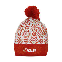 Winter Warm Acrylic Knitted Jacquard Beanie Skull Hat/Cap